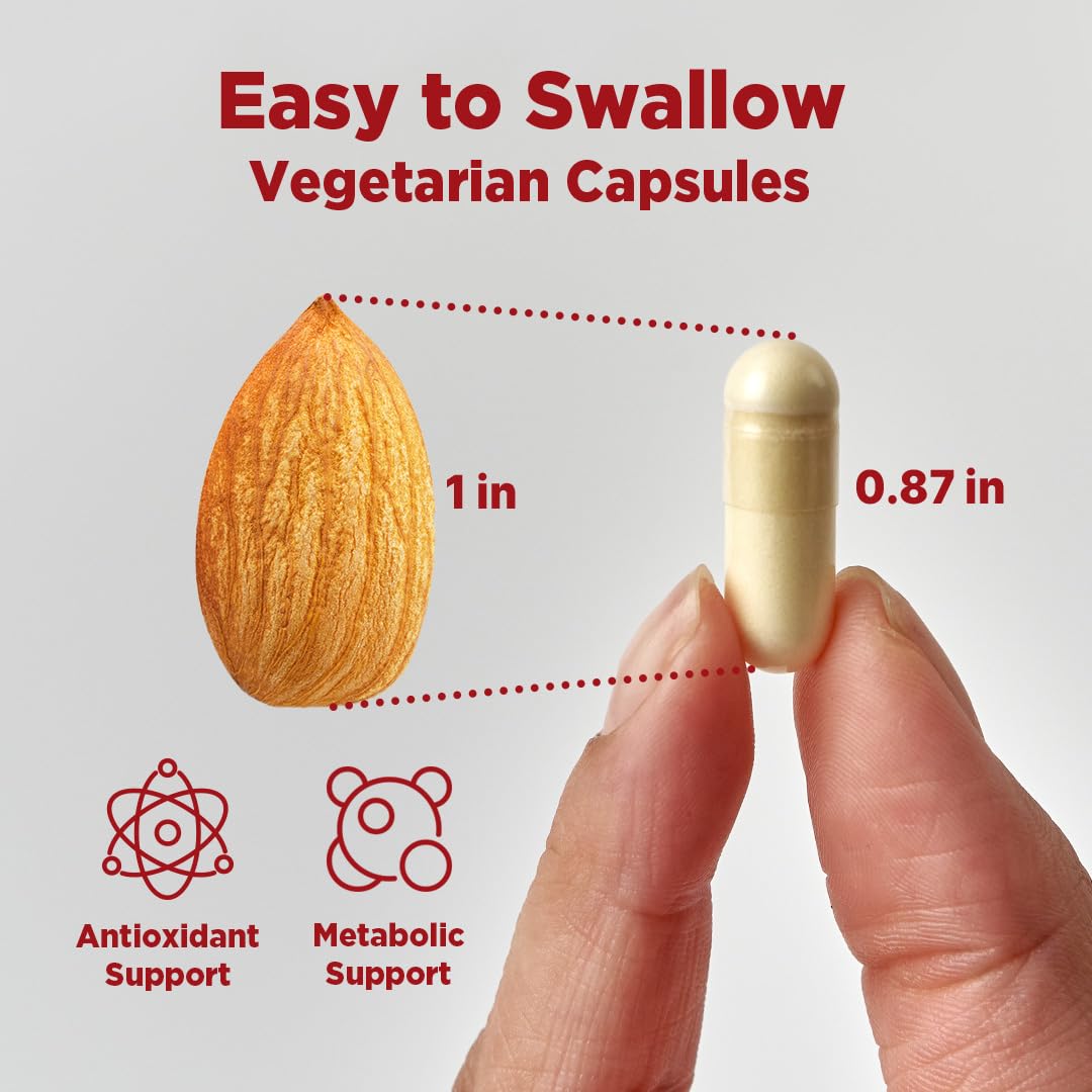 Alpha Lipoic Acid 600mg 60 Capsule